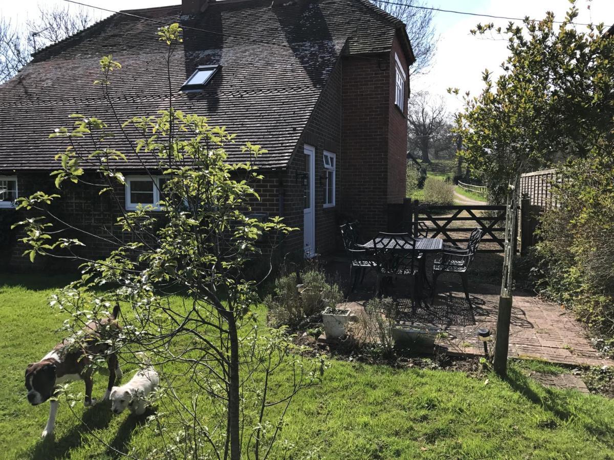 Godshill Park Cottages Eksteriør bilde