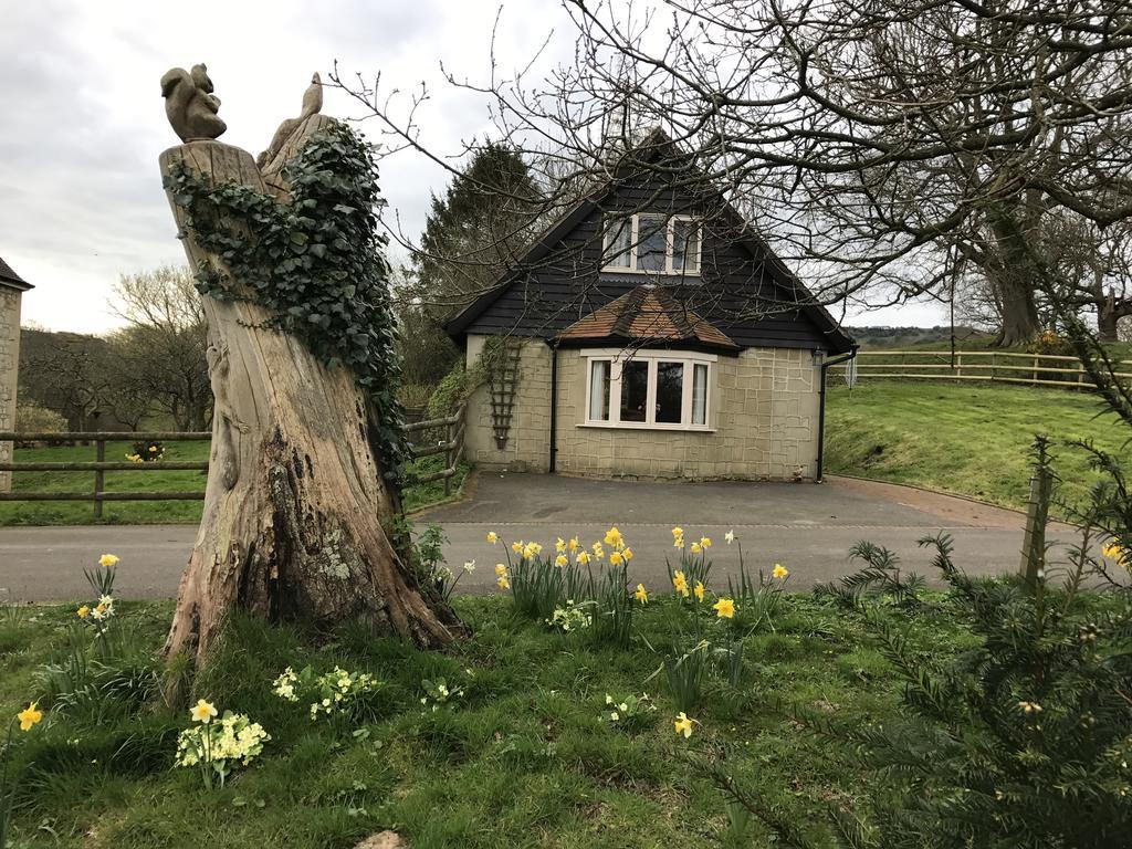 Godshill Park Cottages Eksteriør bilde